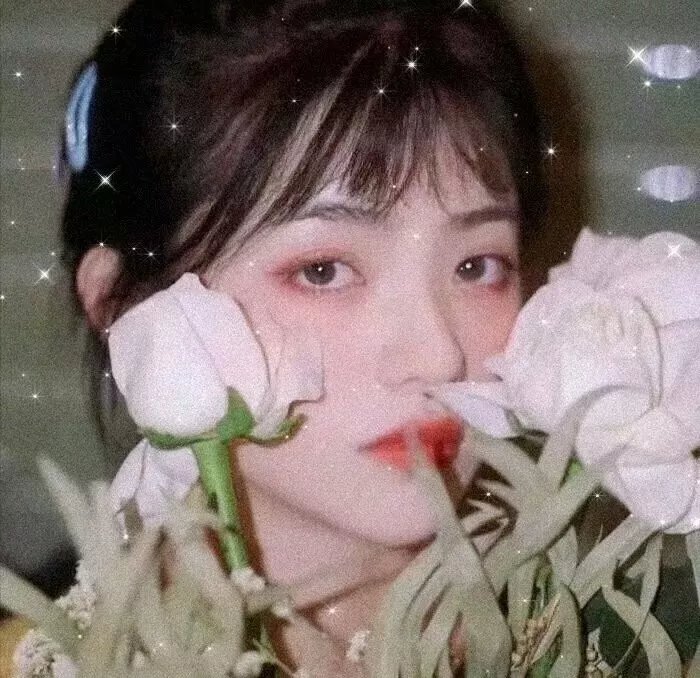 毒镇英雌